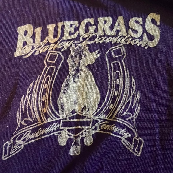 Lightweight sheer Purple long sleeve Harley Davidson shirt - Picture 4 of 8